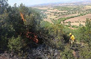 Kula’da 2 yer haricinde mangal yakmak yasaklandı