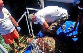 Kuşadası Körfezi’nde 2 caretta caretta ve 1 yeşil...