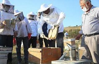 Kütahya’da 250 ton bal üretimi hedefleniyor