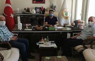 Lefke Kalesi içine kent ormanı yapılması planlanıyor