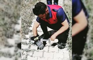 Mahsur kalan yavru kediler kurtarıldı