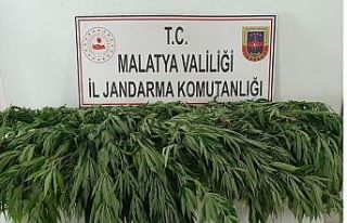 Malatya’da uyuşturucuya darbe