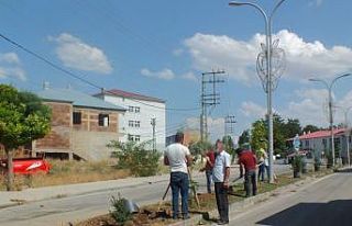 Malazgirt belediyesinden 26 ağustos zafer bayramı...