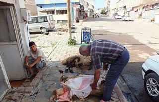 Malazgirtli iş adamından kurban eti dağıtımı