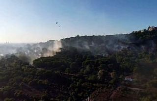 Maltepe’de ormanlık alanda çıkan yangın drone...