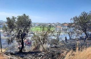 Manavgat Ilıca’da korkutan orman yangını