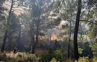Manavgat’ta aynı saatlerde dört ayrı noktada...