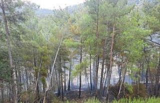 Manavgat’ta orman yangını büyümeden söndürüldü