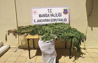 Manisa’da 12 kilo kubar esrarı çuvalla taşırken...