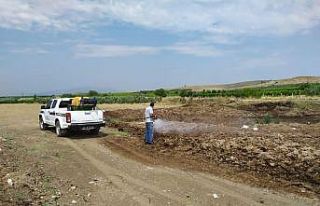 Manisa’da haşereyle mücadele çalışmaları aralıksız...