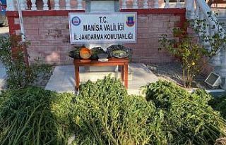 Manisa’da jandarmadan drone ile uyuşturucu operasyonu