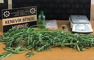 Manisa’da uyuşturucu operasyonu: 2 kişi tutuklandı