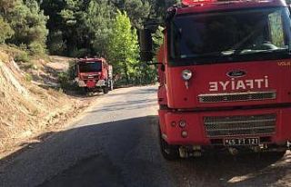 Manisa’daki orman yangını