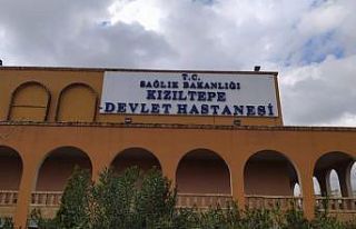 Mardin’de iki aile arasında taşlı sopalı kavga:...