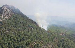Marmaris’teki orman yangını kontrol altına alındı