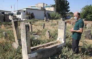 Meclis-i Mebusan milletvekili Beşe’nin mezarı...