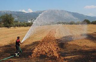 Menteşe’de ot yangını büyümeden söndürüldü