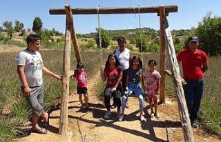 Mersin’de lavanta bahçeleri yoğun ilgi görüyor