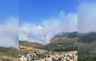 Milas’ta orman yangını