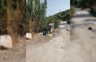 Milas’ta toplanmayan çöpler isyan ettirdi