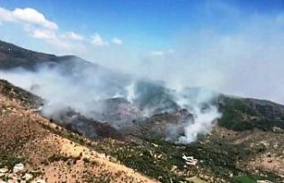 Milas’taki orman yangınına müdahale sürüyor