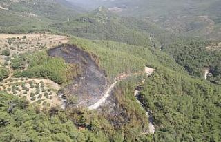 Muğla Orman Bölge Müdürlüğü’nün anında...