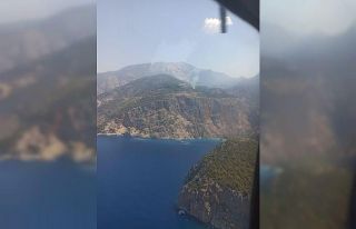 Muğla’da orman yangını