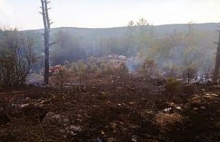 Muğla’da ‘Yıldırım’ yangınları başladı