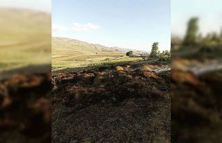 Muradiye’de ot yangını