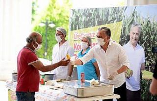 Muratpaşa’da mısırlar menüye eklendi