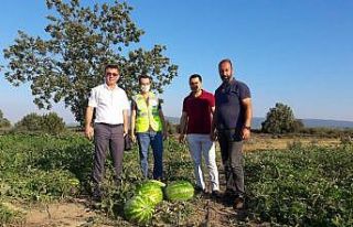 Mustafakemalpaşalı çiftçinin yüzü yeni gelir...