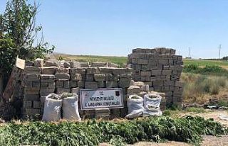 Nevşehir’de 12 kilogram esrar ele geçirildi