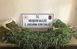 Nevşehir’de 2 kilo esrar ele geçirildi