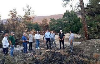 Nilüfer’de ağaç dikme seferberliği başlıyor