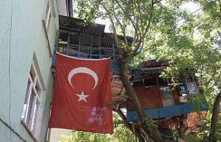 Nusret dede, Covid-19’dan ağaç evi ile korunuyor