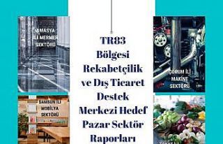 OKA 4 il için hedef pazar sektör raporları hazırladı