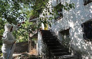 Öldüğü iki ay sonra anlaşıldı