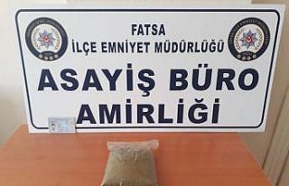 Ordu’da 320 gram bonzai ele geçirildi