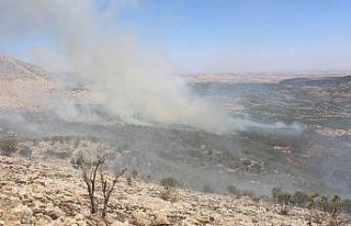 Orman yangını kontrol altına alındı