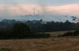 Orman yangınında üçüncü gün, alevler Türkiye’ye...