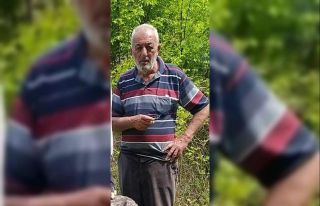 Ormanda gezerken kalbine yenik düştü
