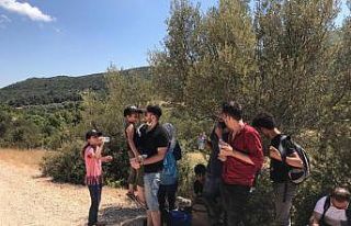 Ormanda kaybolan düzensiz göçmenler kurtarıldı