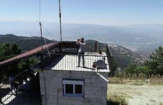 Ormanları korumak için 9 yıldır nöbetleşe uyuyorlar