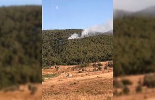 Ormanlık alanda çıkan yangın büyümeden söndürüldü