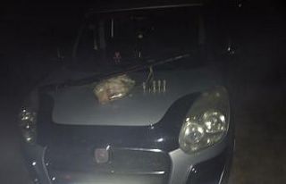 Osmancık’ta kaçak avcı operasyonu