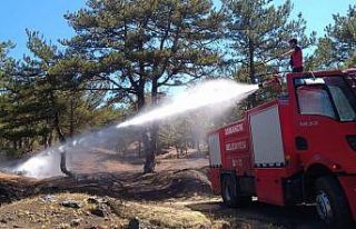 Osmancık’ta orman yangını