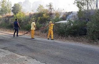 Osmaniye’de orman yangını