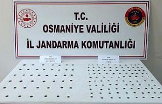 Osmaniye’de tarihi eser operasyonu
