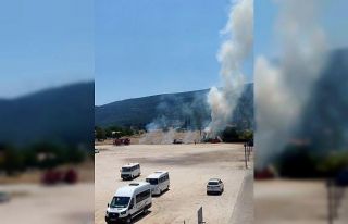 Ot yangını büyümeden söndürüldü