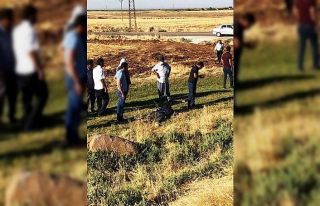 Otomobil ile çarpışan motosikletli öldü